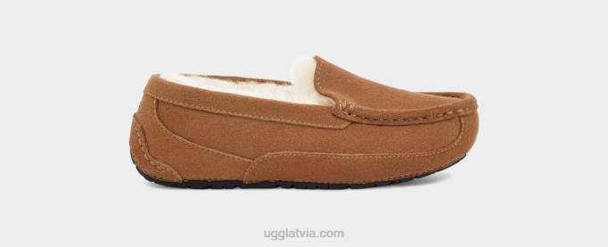 bērni UGG ascot Z48J2325 kastaņu zamšādas