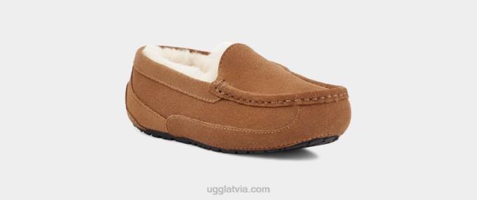 bērni UGG ascot Z48J2325 kastaņu zamšādas