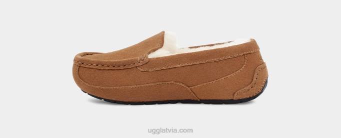 bērni UGG ascot Z48J2325 kastaņu zamšādas
