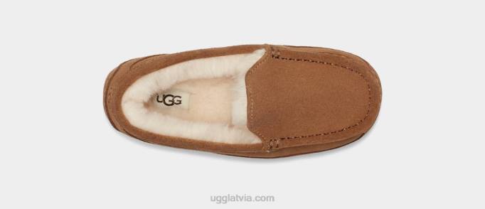 bērni UGG ascot Z48J2325 kastaņu zamšādas