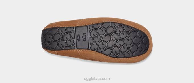 bērni UGG ascot Z48J2325 kastaņu zamšādas