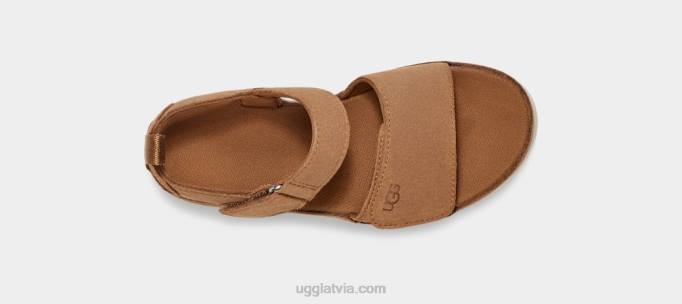 bērni UGG zelta zvaigzne Z48J1703 kastanis