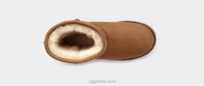 bērni UGG klasisks ii laika īss Z48J1704 kastanis