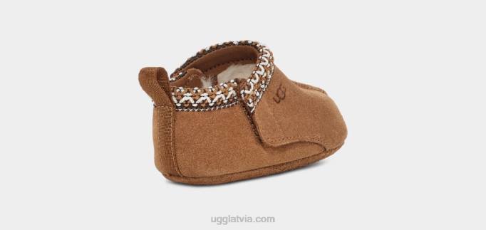 mazulis UGG tasmans Z48J2022 kastanis