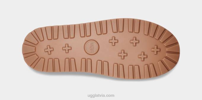 visi dzimumi UGG zābaku aizsargs Z48J606 kastanis