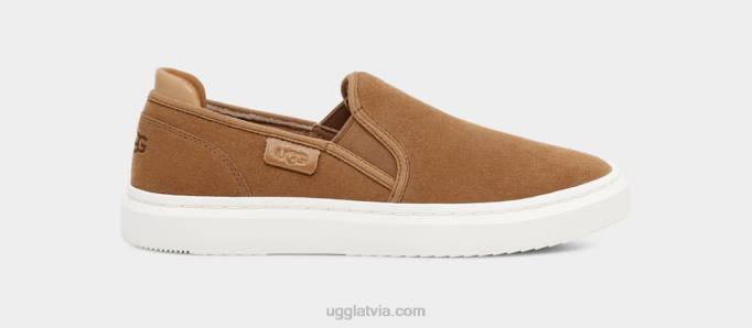 sievietes UGG alameda slip uz zamšādas Z48J24 kastanis