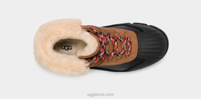 sievietes UGG adiroam ceļotājs Z48J8 kastanis