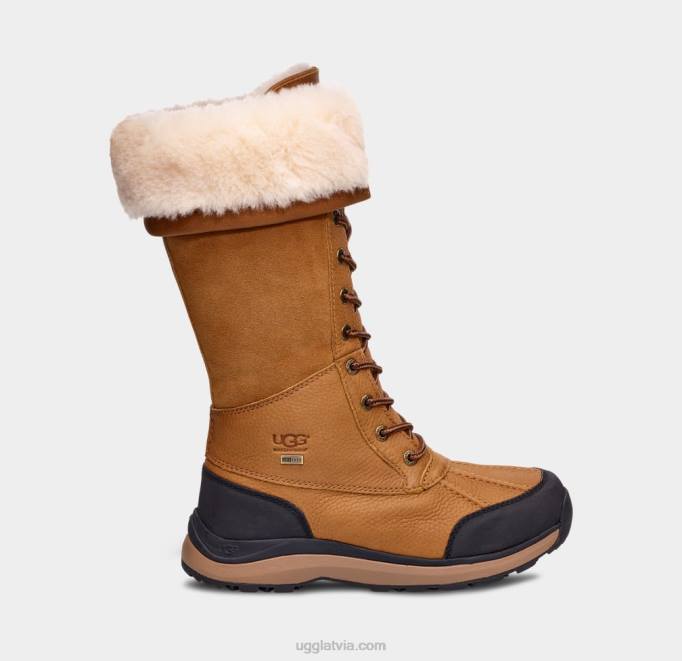 sievietes UGG adirondack iii augsts zābaks Z48J597 kastanis