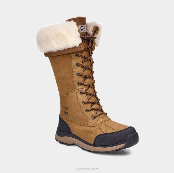 sievietes UGG adirondack iii augsts zābaks Z48J597 kastanis