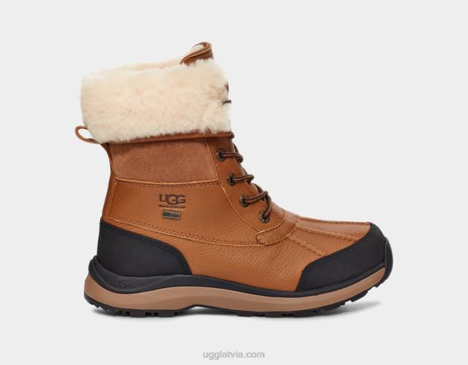sievietes UGG adirondack iii boot Z48J592 kastanis