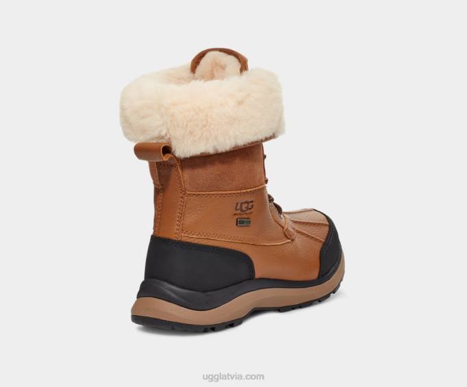 sievietes UGG adirondack iii boot Z48J592 kastanis