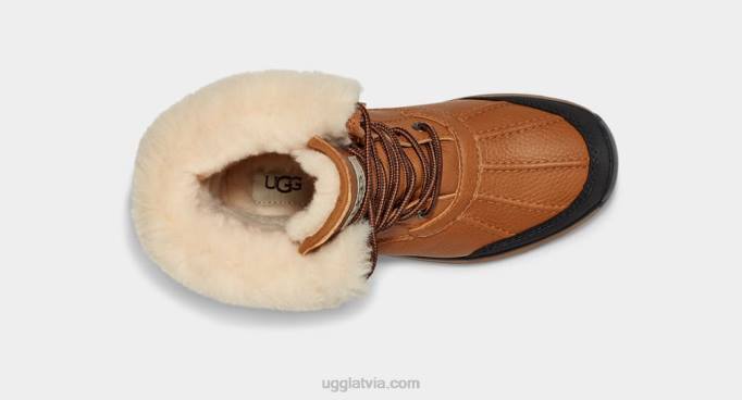sievietes UGG adirondack iii boot Z48J592 kastanis
