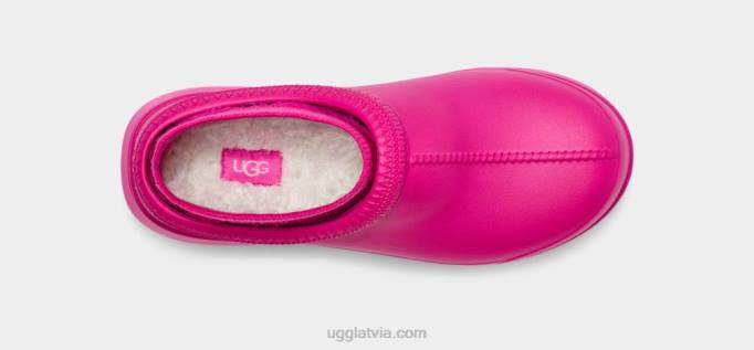 sievietes UGG tasmans x Z48J429 pūķa auglis