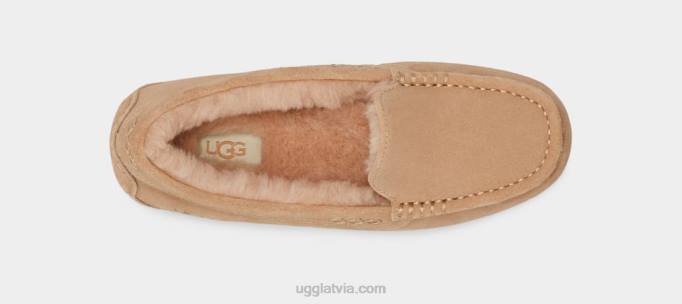 sievietes UGG Ansley Z48J370 driftwood