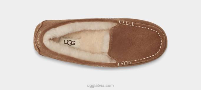 sievietes UGG Ansley Z48J371 kastanis