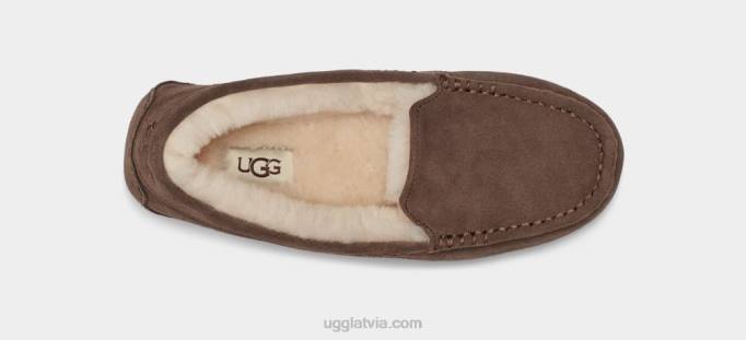 sievietes UGG Ansley Z48J374 espresso