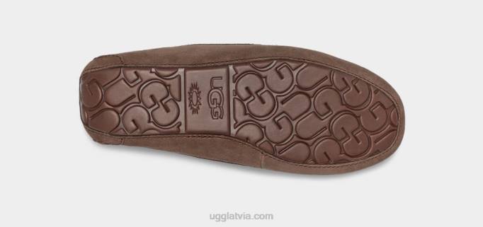 sievietes UGG Ansley Z48J374 espresso