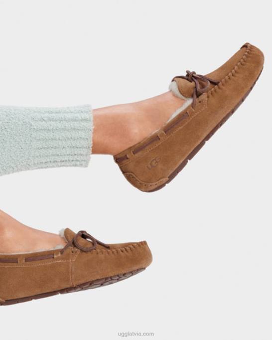 sievietes UGG Dakota Z48J458 kastanis