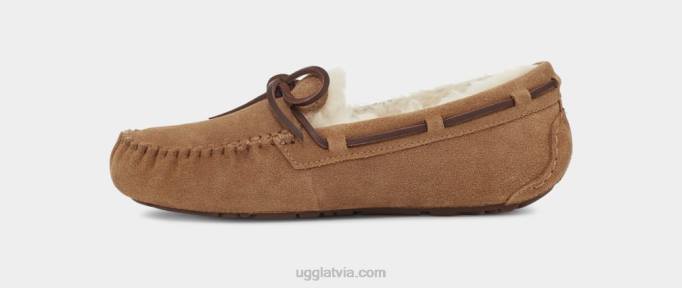 sievietes UGG Dakota Z48J458 kastanis