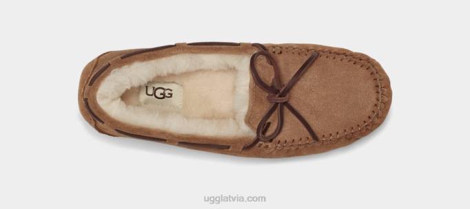 sievietes UGG Dakota Z48J458 kastanis