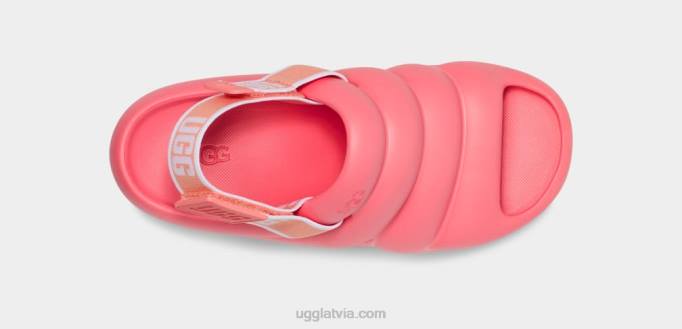 sievietes UGG aww jā Z48J469 zemeņu krēms