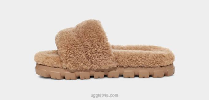 sievietes UGG cozetta cirtaini Z48J433 kastanis