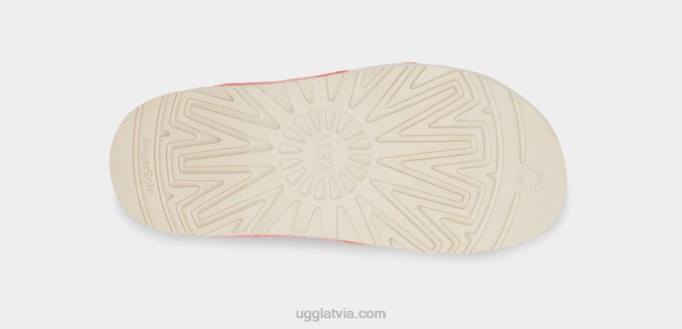 sievietes UGG pūciņa cukura frotē krusta slaids Z48J821 persiku svētlaime