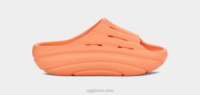 sievietes UGG putu slaids Z48J376 saldais persiks