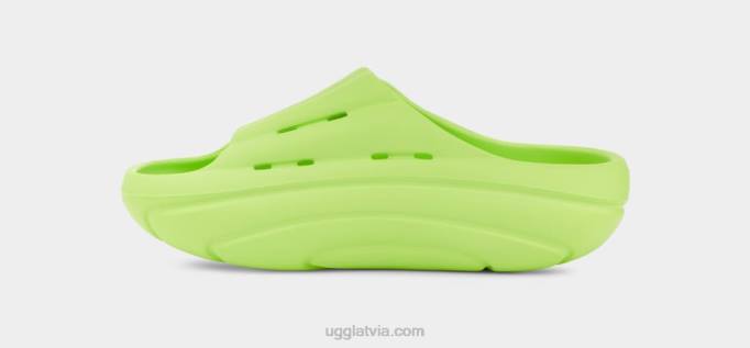 sievietes UGG putu slaids Z48J377 bāli šartrīzs