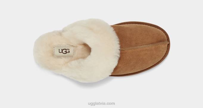 sievietes UGG scuffette ii Z48J446 kastanis