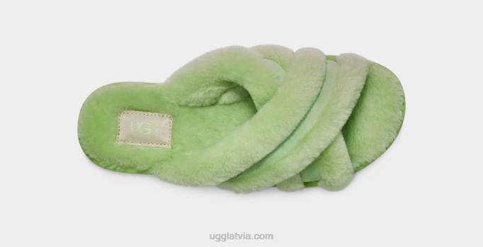 sievietes UGG scuffita Z48J43 parka zaļš