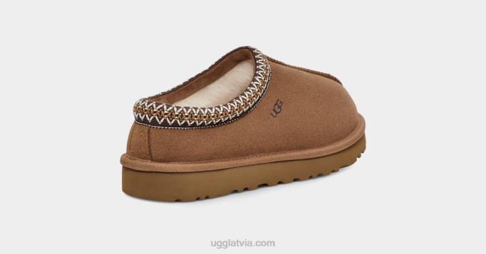 sievietes UGG tasman čības Z48J367 kastanis
