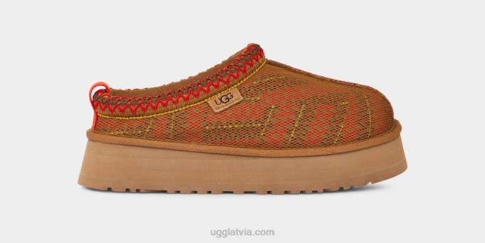 sievietes UGG tazz maxi tasman Z48J689 kastanis