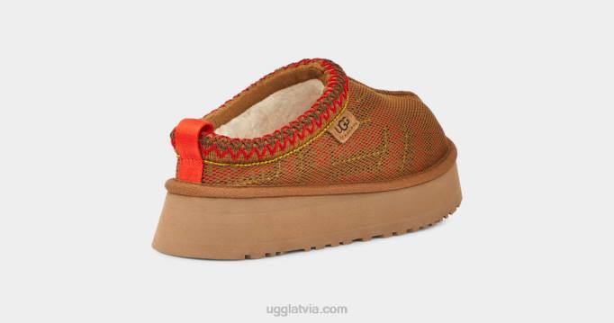 sievietes UGG tazz maxi tasman Z48J689 kastanis