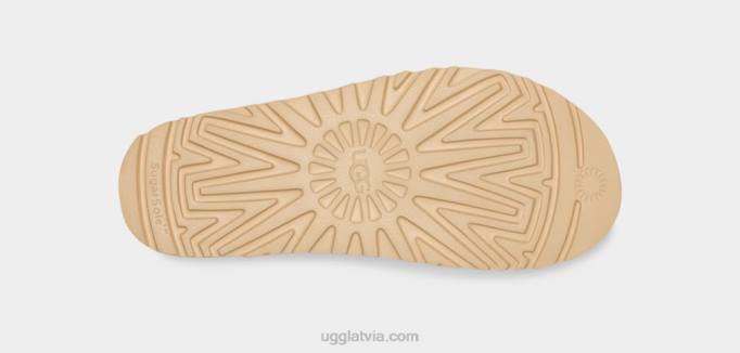 sievietes UGG zelta zvaigzne Z48J575 kastanis