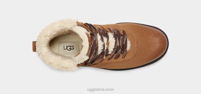 sievietes UGG harisons mājīgas mežģīnes Z48J663 kastanis