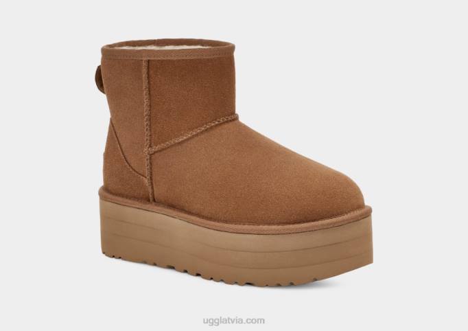 sievietes UGG klasiska mini platforma Z48J348 kastanis