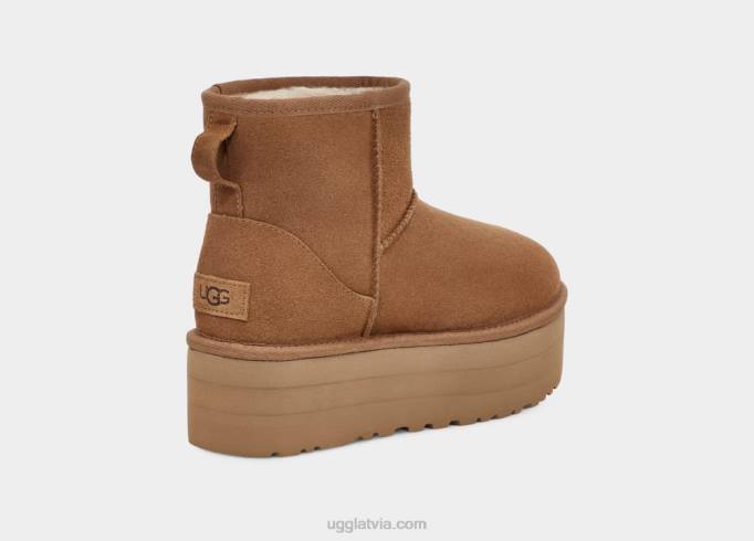 sievietes UGG klasiska mini platforma Z48J348 kastanis