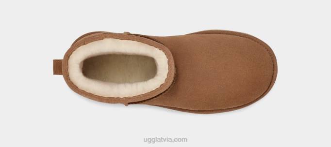 sievietes UGG klasiska mini platforma Z48J348 kastanis