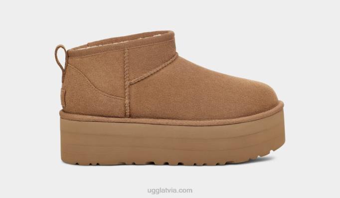 sievietes UGG klasiska ultra mini platforma Z48J588 kastanis