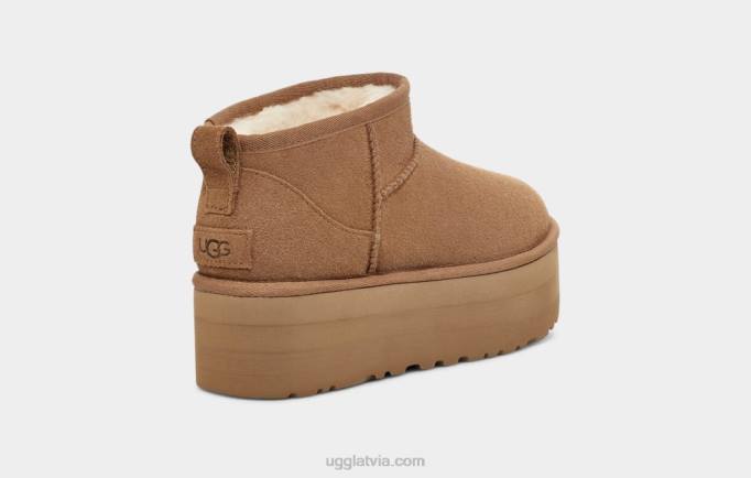 sievietes UGG klasiska ultra mini platforma Z48J588 kastanis
