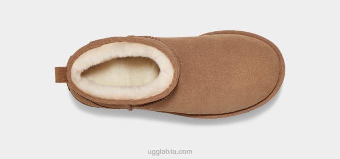 sievietes UGG klasiska ultra mini platforma Z48J588 kastanis
