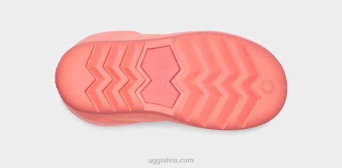 sievietes UGG klasisks maxi īss Z48J679 mīļā