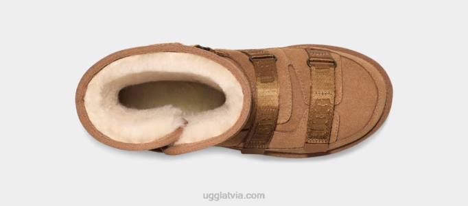 sievietes UGG klasisks īss hibrīds Z48J851 kastanis