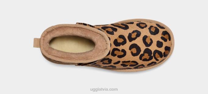 sievietes UGG klasisks ultra mini plankumains Z48J33 dabisks