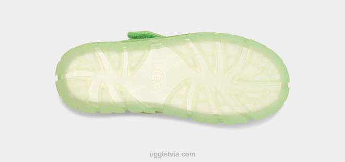 sievietes UGG neumel skaidrs Z48J2146 parka zaļš