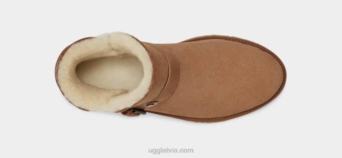 sievietes UGG romantiski īsa sprādze Z48J2129 kastanis