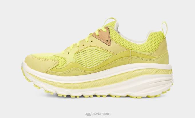 vīriešiem UGG apmēram 805 x zems acs Z48J1646 ziedputekšņi/balts