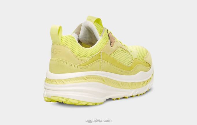 vīriešiem UGG apmēram 805 x zems acs Z48J1646 ziedputekšņi/balts