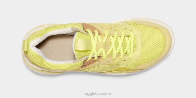 vīriešiem UGG apmēram 805 x zems acs Z48J1646 ziedputekšņi/balts